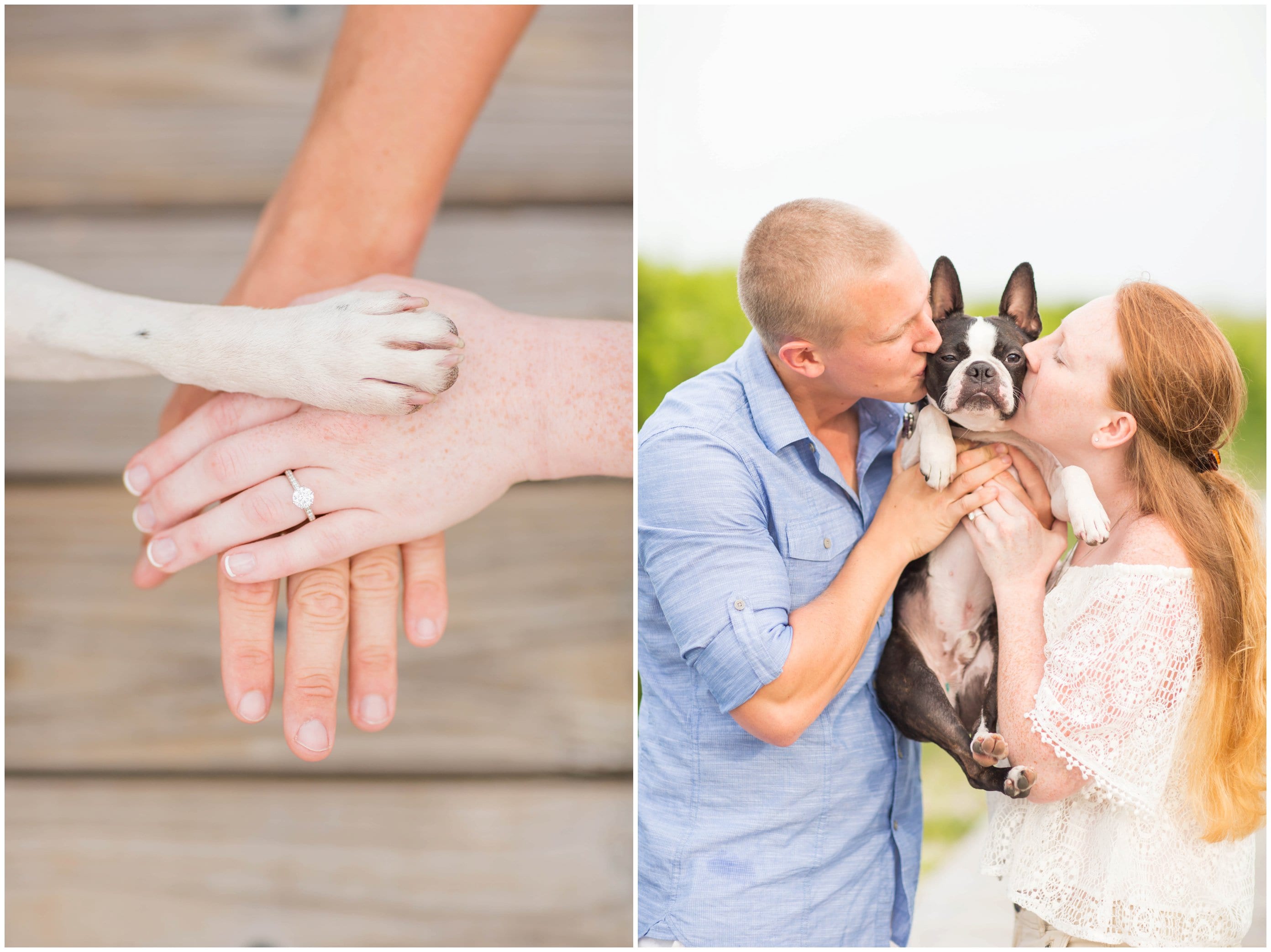 I love that Katie requested a special "all hands/paws in" shot. It was perfect!